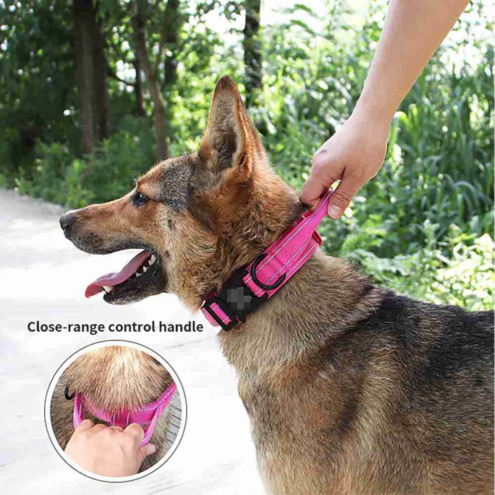 Experienced Dog Harness Supplier for Global Markets